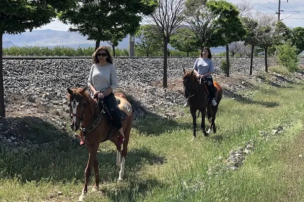 MALATYA ATLI SAFARİ KULÜBÜ - Resim 11