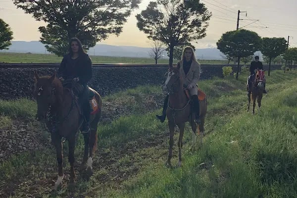 MALATYA ATLI SAFARİ KULÜBÜ - Resim 12