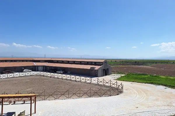 MALATYA ATLI SAFARİ KULÜBÜ - Resim 16