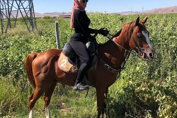 MALATYA ATLI SAFARİ KULÜBÜ - Resim 5