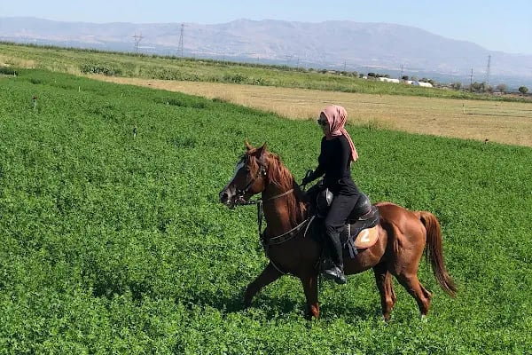 MALATYA ATLI SAFARİ KULÜBÜ - Resim 9