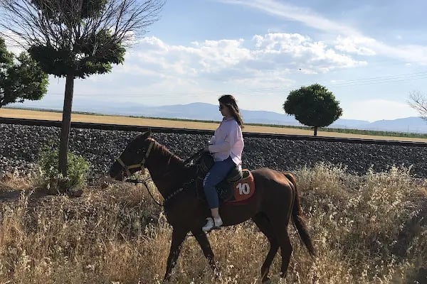 MALATYA ATLI SAFARİ KULÜBÜ - Resim 4