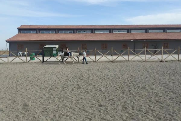 MALATYA ATLI SAFARİ KULÜBÜ - Resim 20