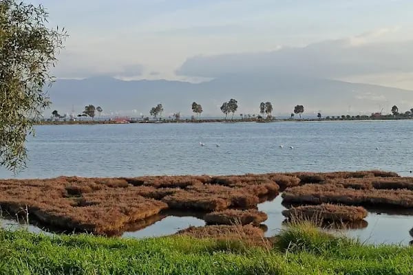 İzmir Marina - Resim 13