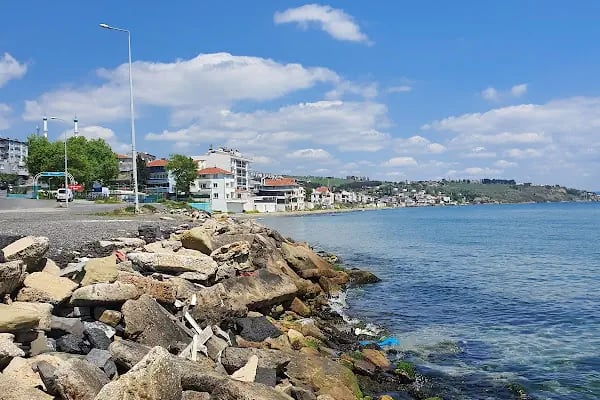 Barbaros Limanı - Resim 6