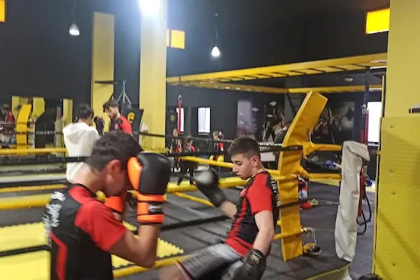 Arlı Spor Kulübü - Resim 12