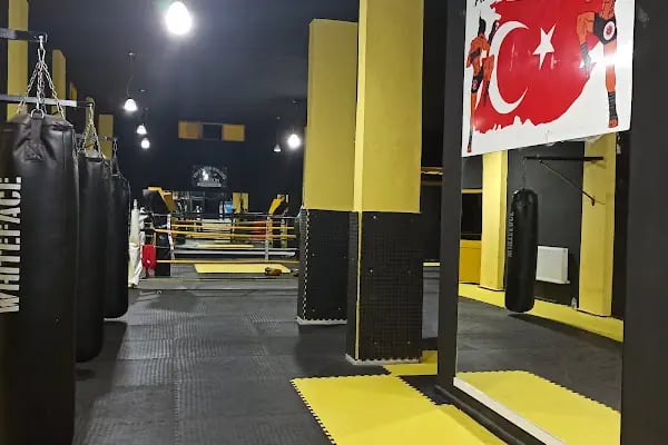 Arlı Spor Kulübü - Resim 16
