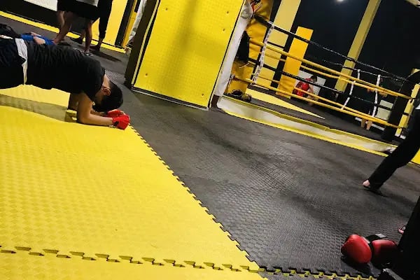 Arlı Spor Kulübü - Resim 17