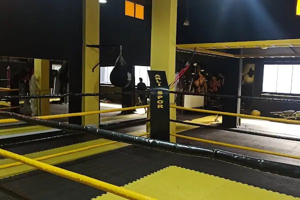 Arlı Spor Kulübü - Resim 19