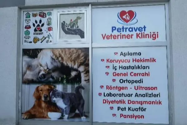 PETRAVET VETERİNER KLİNİĞİ - Resim 20
