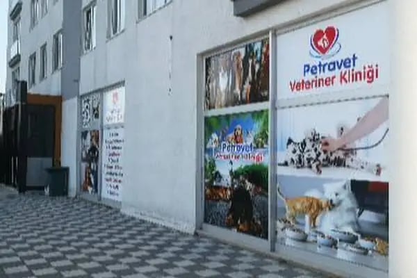 PETRAVET VETERİNER KLİNİĞİ - Resim 7