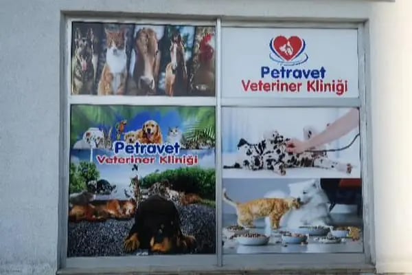 PETRAVET VETERİNER KLİNİĞİ - Resim 9