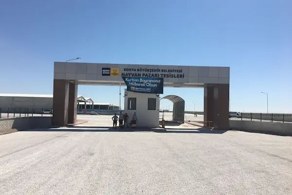 Konya Büyükşehir Belediyesi Hayvan Pazarı Tesisleri(YENİ) - Resim 12