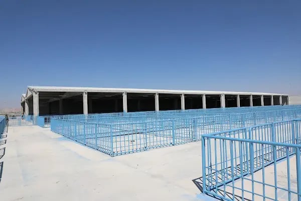 Konya Büyükşehir Belediyesi Hayvan Pazarı Tesisleri(YENİ) - Resim 4