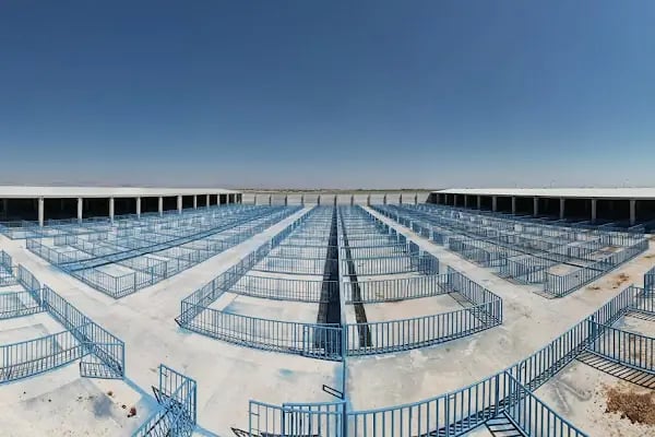 Konya Büyükşehir Belediyesi Hayvan Pazarı Tesisleri(YENİ) - Resim 7