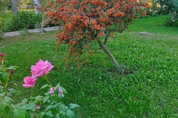 Onur Sitesi - Resim 12