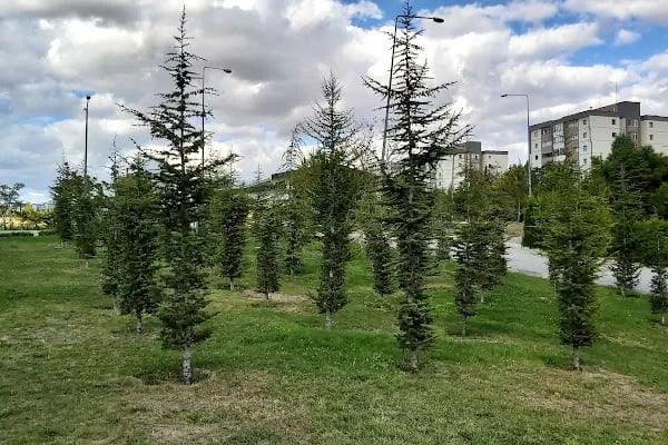 Tunahan spor tesisleri - Resim 13