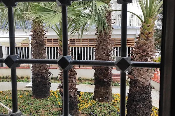 Fatih Sultan Mehmet Han Cami-i Şerifi - Resim 14