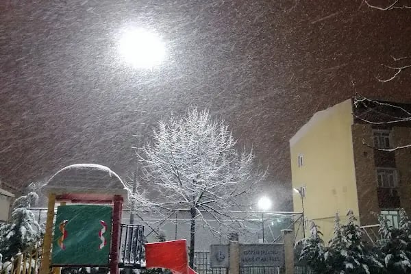 Namık Kemal Parkı - Resim 11