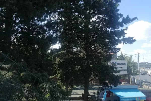 Avcılar Teknik ve Endüstri Meselek Lisesi - Resim 10