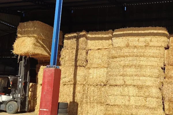 Özkan Forklift Kiralama Balıkesir - Resim 2