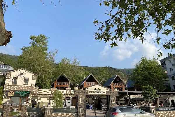 Ergenekon Bungalov - Resim 9