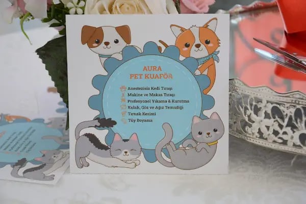 Aura Pet Kuaför - Resim 8
