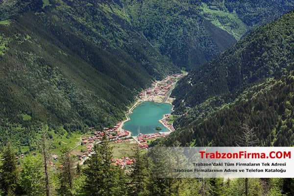 Trabzon Firma Rehberi - Trabzon Firmaları - Resim 2