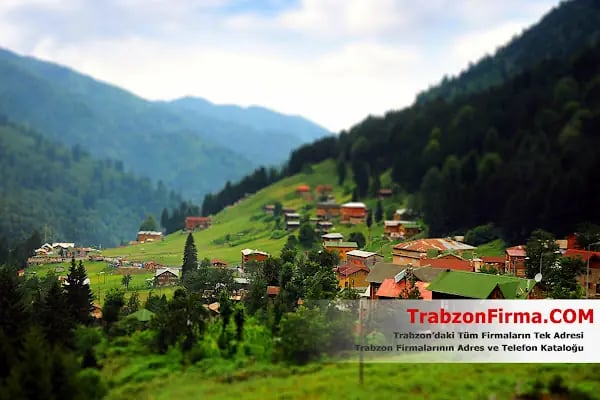 Trabzon Firma Rehberi - Trabzon Firmaları - Resim 6