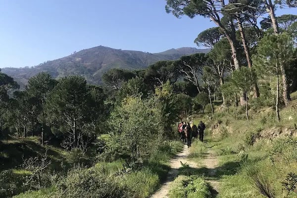 Alhisar Tarihi Taş Köprü ve Şelale - Resim 6