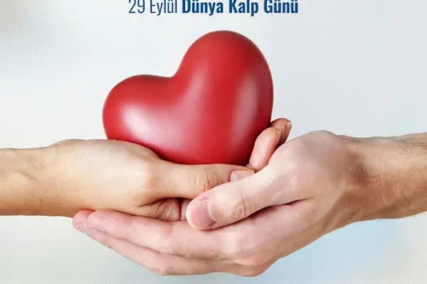Prof. Dr. Tarkan Karakan - Resim 13