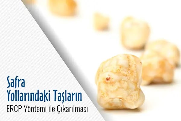 Prof. Dr. Tarkan Karakan - Resim 7