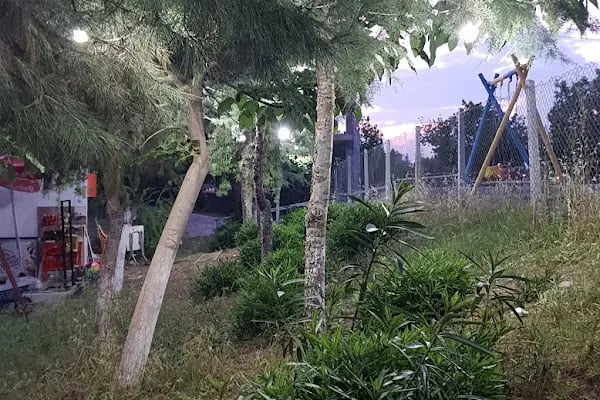 Kazım Karabekir Yüzme Havuzu - Resim 8