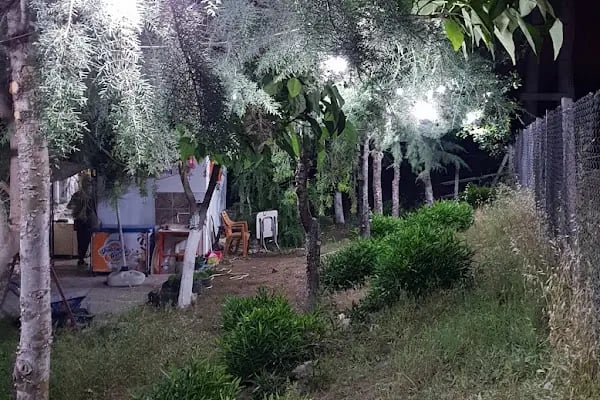 Kazım Karabekir Yüzme Havuzu - Resim 5