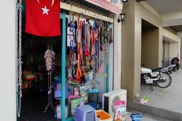 BERGAMA PETSHOP - Resim 1