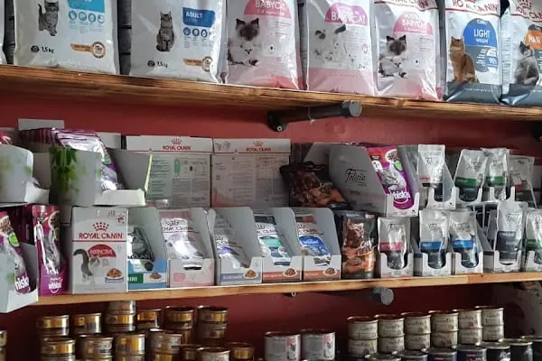 Pati@Dostu Petshop - Resim 2
