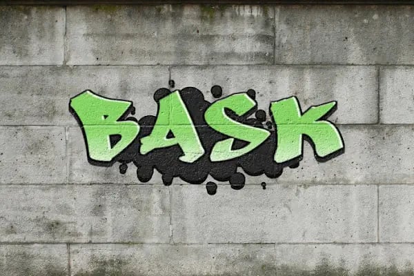 Baylık Akademi Spor Kulübü - Resim 1
