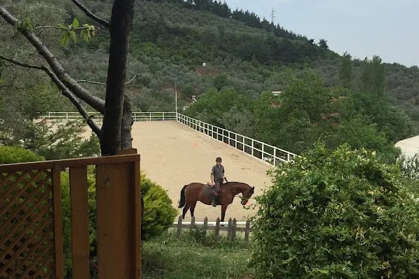 Doğuşlu Binicilik Kulübü - Resim 14
