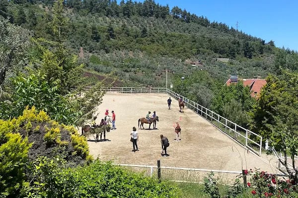 Doğuşlu Binicilik Kulübü - Resim 7
