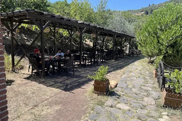 Doğuşlu Binicilik Kulübü - Resim 17