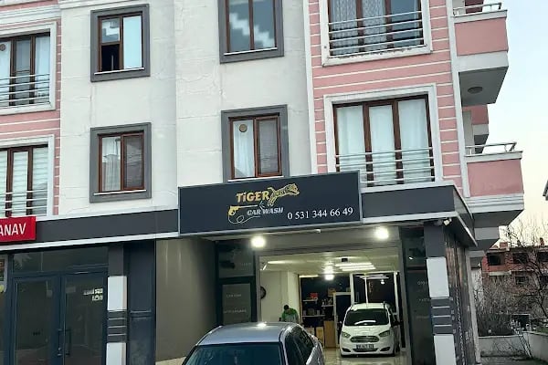 TİGER CAR WASH - Resim 10