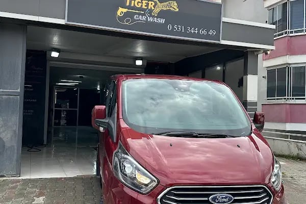 TİGER CAR WASH - Resim 5