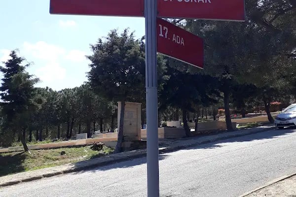 Kilyos Mezarlığı - Resim 15