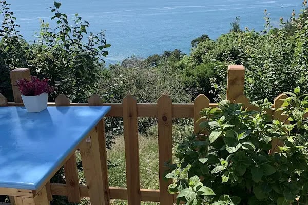 Halik Koyu Aile Plajı - Resim 5