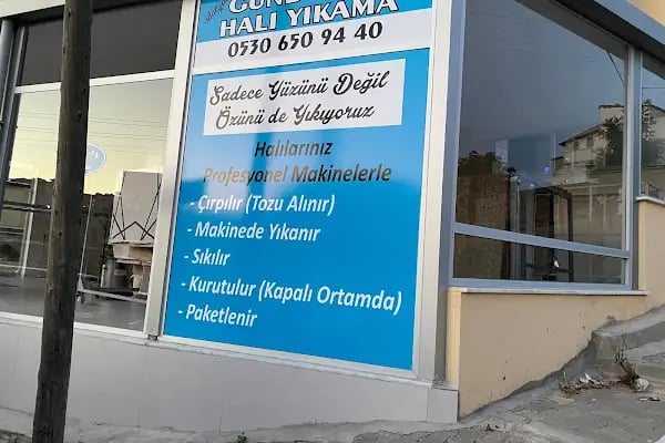 Emrah Gündoğan Halı Ve Koltuk Yıkama - Resim 6