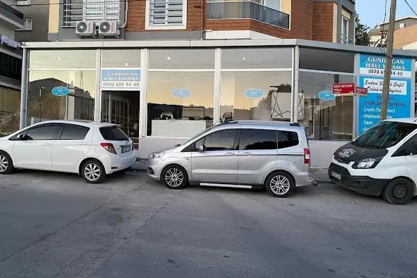 Emrah Gündoğan Halı Ve Koltuk Yıkama - Resim 3