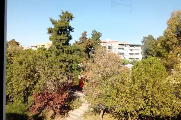 Ertan Erdek Parkı - Resim 13