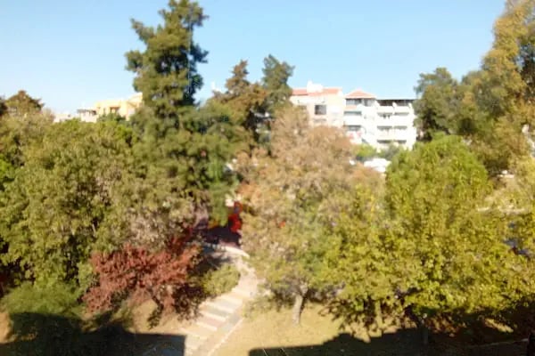 Ertan Erdek Parkı - Resim 14