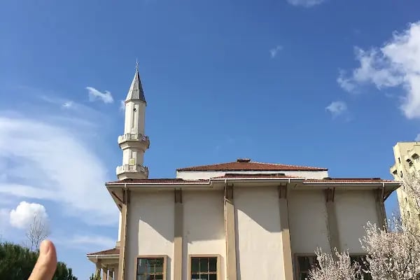 Osmangazi Cami - Resim 2