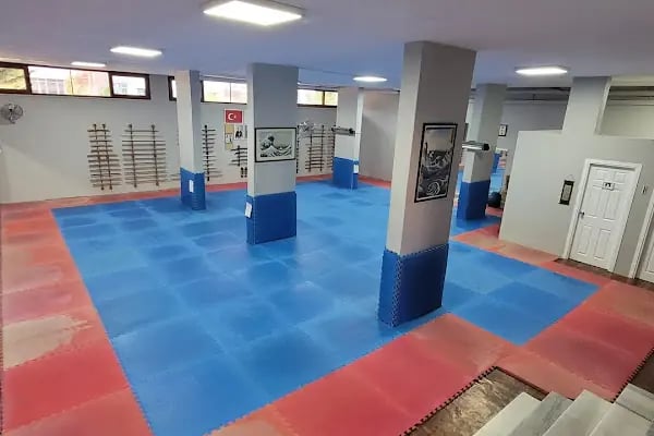DOĞUKAN DOJO AiKiDO - Resim 6
